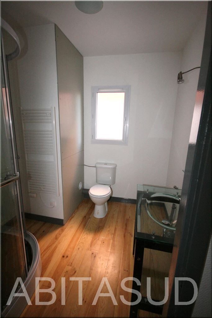 appartement 1 pièce en location sur REALMONT (81120)